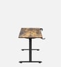 GT ImperiumPro 4FT Electric Height Adjustable Table in Brown Colour