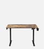 GT ImperiumPro 4FT Electric Height Adjustable Table in Brown Colour