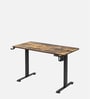 GT ImperiumPro 4FT Electric Height Adjustable Table in Brown Colour