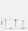 GT ImperiumPro 4FT Electric Height Adjustable Table in White Colour