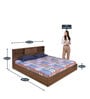 Gunner King Size Bed in Wenge Finish with Box Storage