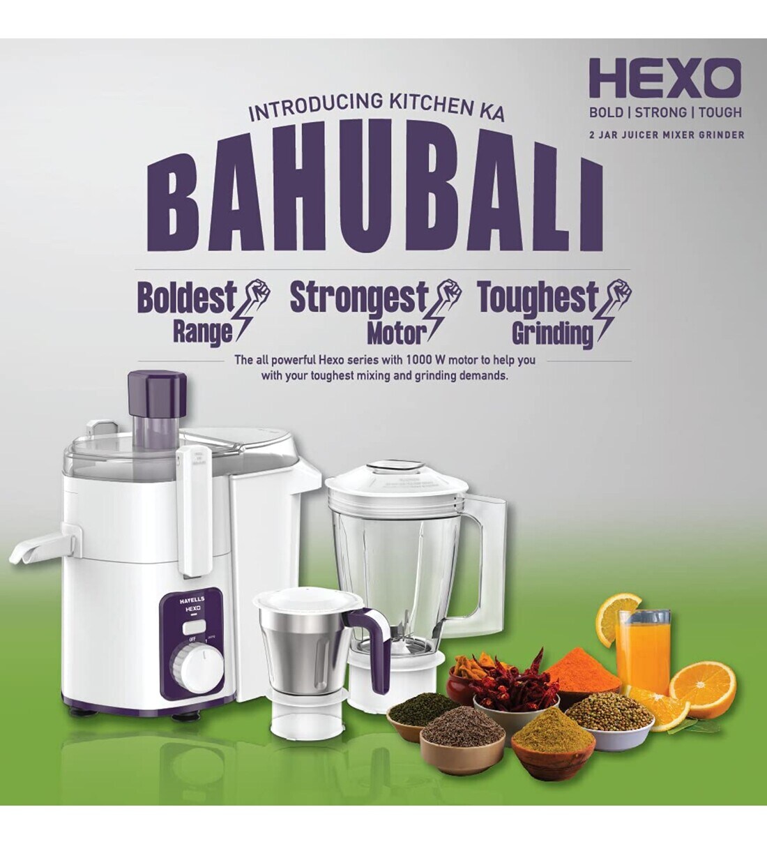 Buy Havells Hexo 1000W Juicer Mixer Grinder with 2 Jar (White) Online