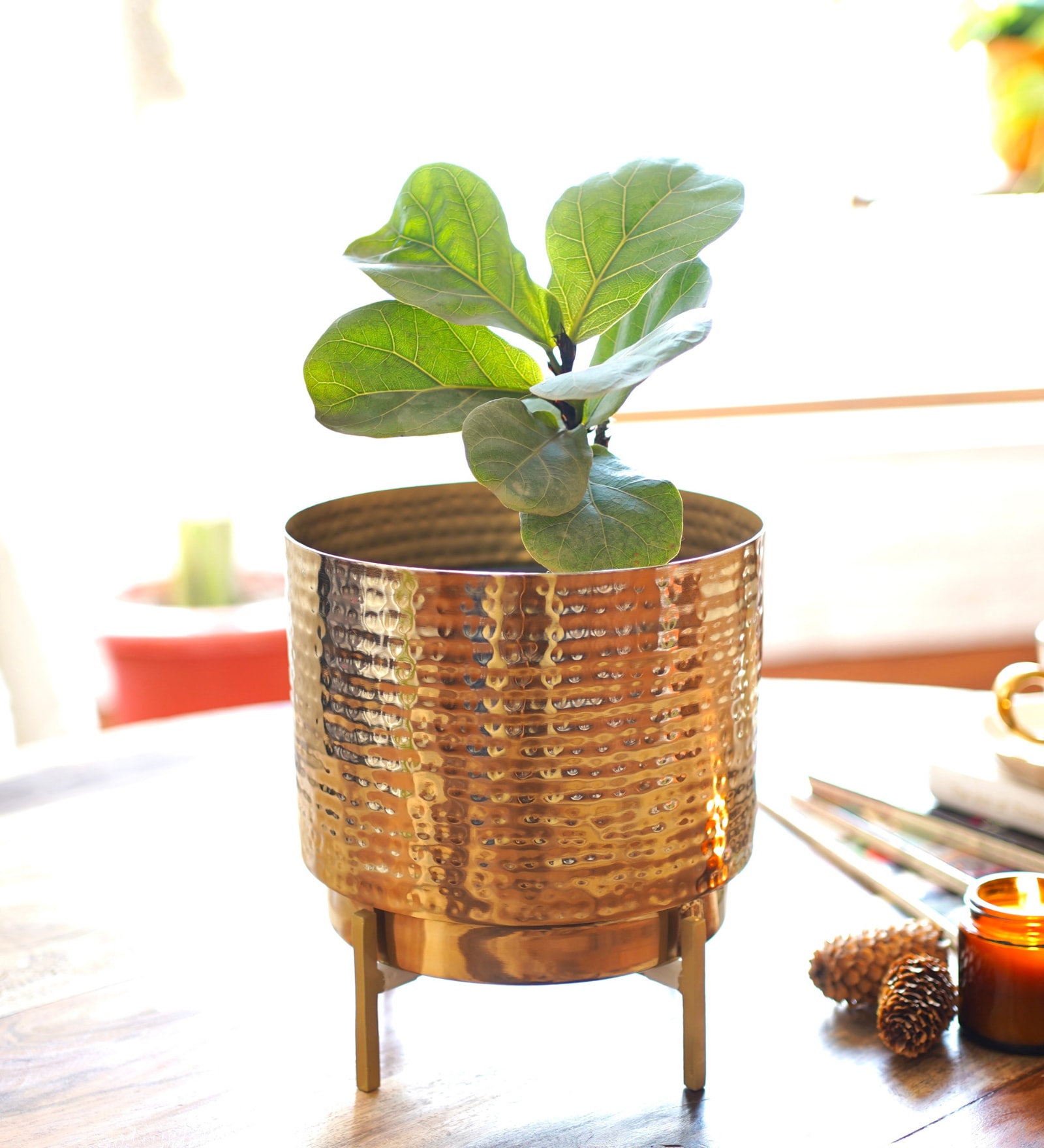 Hammered Indoor Gold Metal Desk Pots