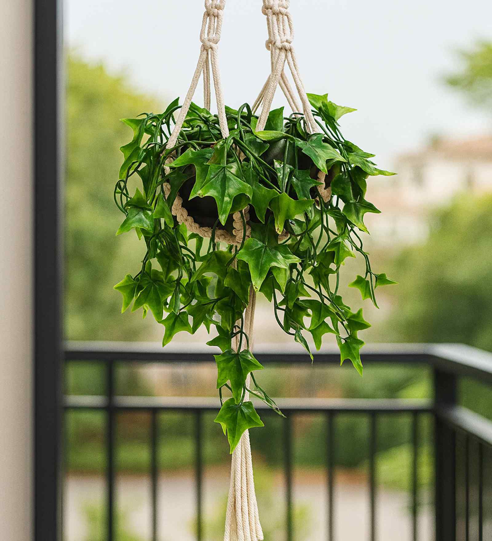 (1Pc) Green Plastic Plant Fake Star Artificial Plant