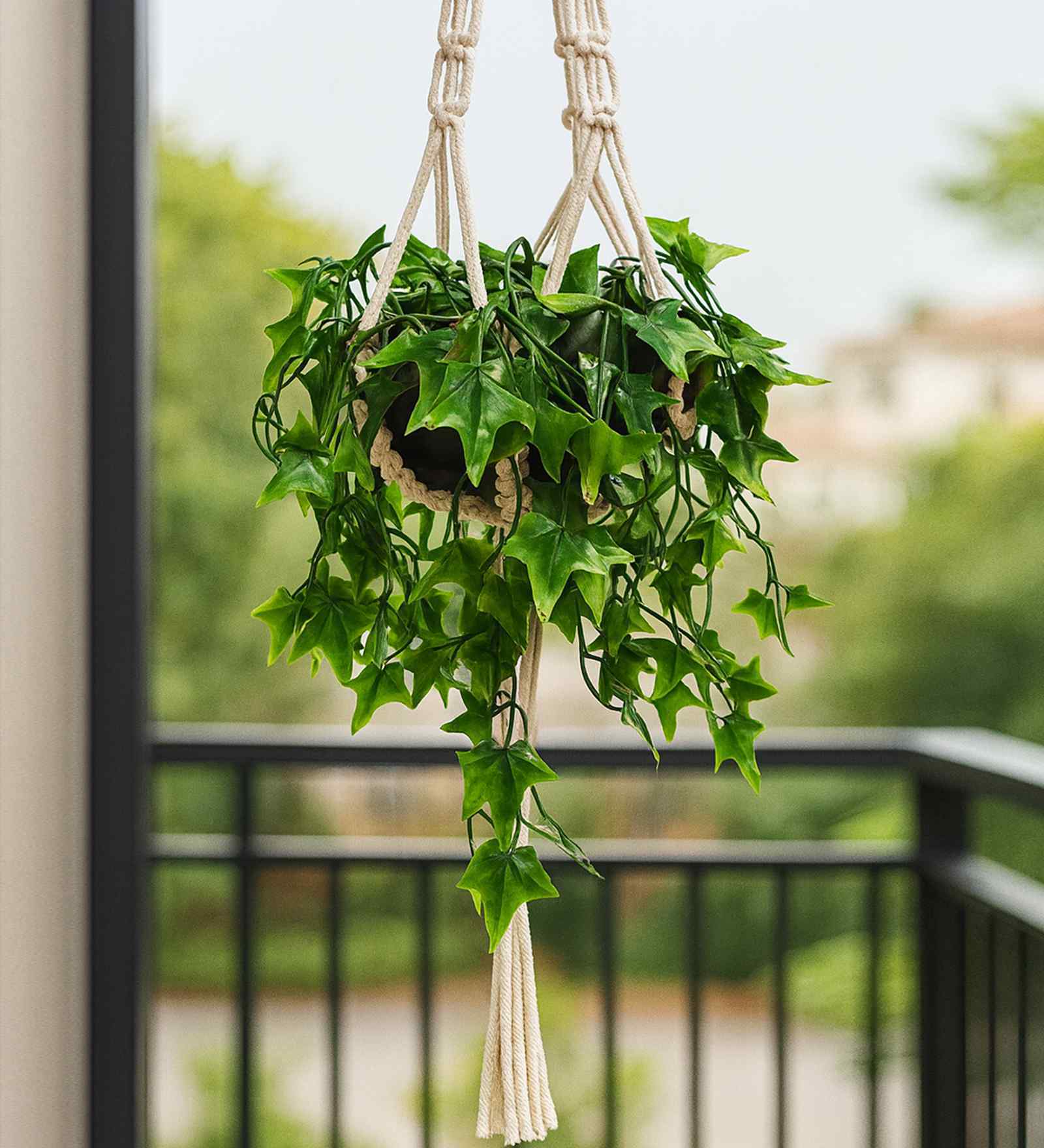 Set Of 2 Green Plastic Plant Fake Star Artificial Plants