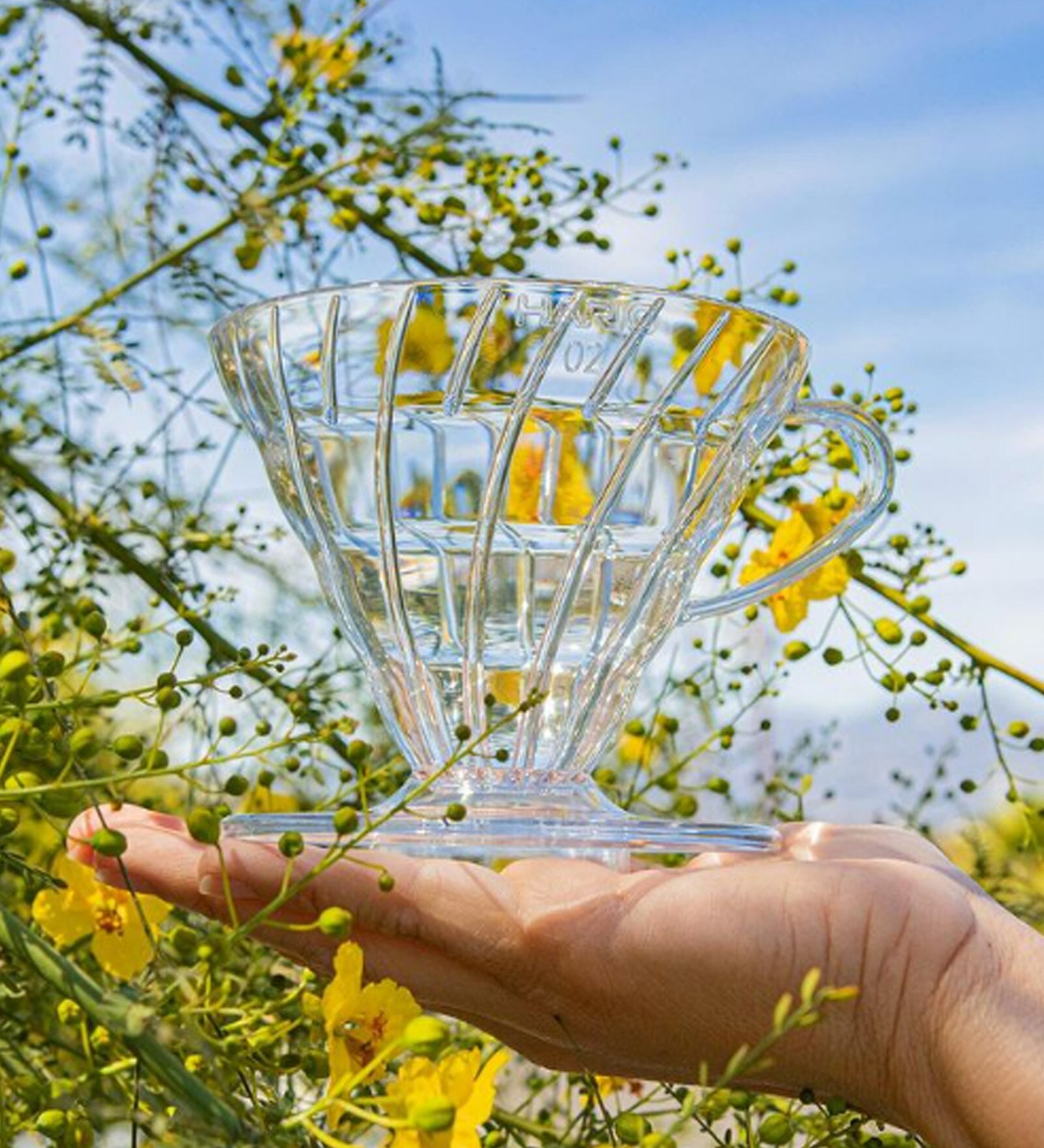 Hario V60 Coffee Dripper In Transparent