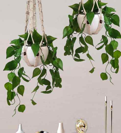 Set Of 2 Green Plastic Plant Fake Money Artificial Plants