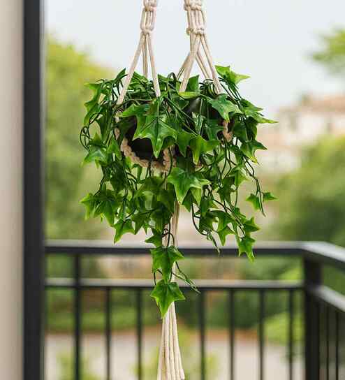 (1Pc) Green Plastic Plant Fake Star Artificial Plant