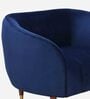 Hairo Velvet 1 Seater Sofa In Blue Colour