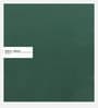 Hairo Velvet 1 Seater Sofa In Forest Green Colour
