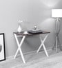 Hakkido Metal Writing Table in Walnut & White Finish
