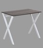 Hakkido Metal Writing Table in Walnut & White Finish