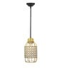 Half Capsule  E27 Holder Golden Crystal Hanging Light