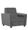 Hamburg 1 Seater Sofa in Grey Colour