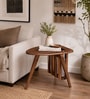 Hamilton Mango Wood End Table With Magazine Rack In Tubbaq Finish