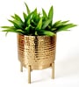 Hammered Indoor Gold Metal Desk Pots