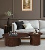 Hammered Mango Wood Nesting Coffee Table Set In Tubbaq Finish