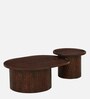 Hammered Mango Wood Nesting Coffee Table Set In Tubbaq Finish