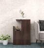 Hana Side Table with Storage in Walnut Finish
