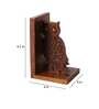 Multicolour Sheesham Wood Carved Owl Bookend