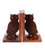 Multicolour Sheesham Wood Carved Owl Bookend