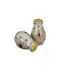 Hand Painted 80ml Off- White Stoneware Salt & Pepper Shaker Set