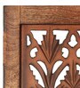 Kalash Plant  White Wood Divider Panel