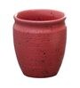 HandCrafted 200ml Red (Set of 6) Ceramic Tea Khullad