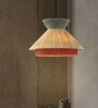 Handcrafted Rattan Pendant Lamp (Beige and Gray)