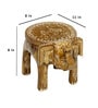 Golden Handcrafted Wooden Elephant Chowkie