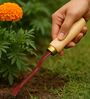 Maroon Gardening Hand Weeder