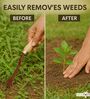 Maroon Gardening Hand Weeder
