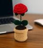 Red Rose Handmade Crochet Flower With Pot