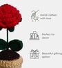 Red Rose Handmade Crochet Flower With Pot