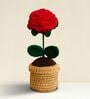 Red Rose Handmade Crochet Flower With Pot