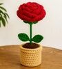 Red Rose Handmade Crochet Flower With Pot