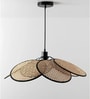 Handmade Floral Webbing Rattan Cane & Sea Grass Pendant Hanging Light (Beige & Black)