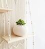 Handmade Macrame Wall Hanging With Pine Wood Shelf In Off White