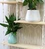 Handmade Macrame Wall Hanging With Pine Wood Shelf In Off White