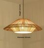 Handmade Rattan Pendant Lamp (Beige and Brown)