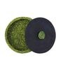 Green Handmade Sabai Grass Roti Serving Box