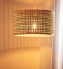 Handmade Webbing Rattan Cane & Sea Grass Pendant Hanging Light (Black & Natural)