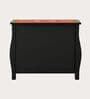 Rangrez Handpainted Solid Wood Chest Of Drawers In Teak Finish 