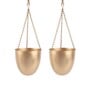 Hanging Capsule Shape Planter Set of 2