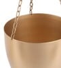 Hanging Capsule Shape Planter Set of 2