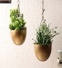Hanging Capsule Shape Planter Set of 2