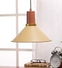 Flamenc Gold Metal Single Hanging Lights