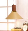Flamenc Gold Metal Single Hanging Lights