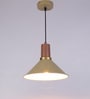 Flamenc Gold Metal Single Hanging Lights