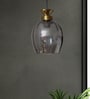 Hanging Light with Smoke Glass Shade